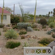 Xeriscape